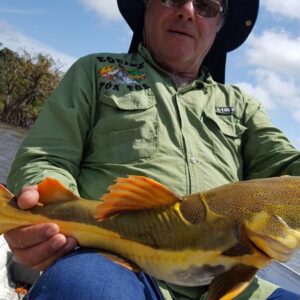 galerias-de-pesca-gb-1-72c43
