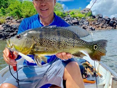 WhatsApp Image 2025-10-11 at 17.15.35